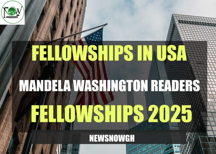 Mandela Washington Readers Fellowships