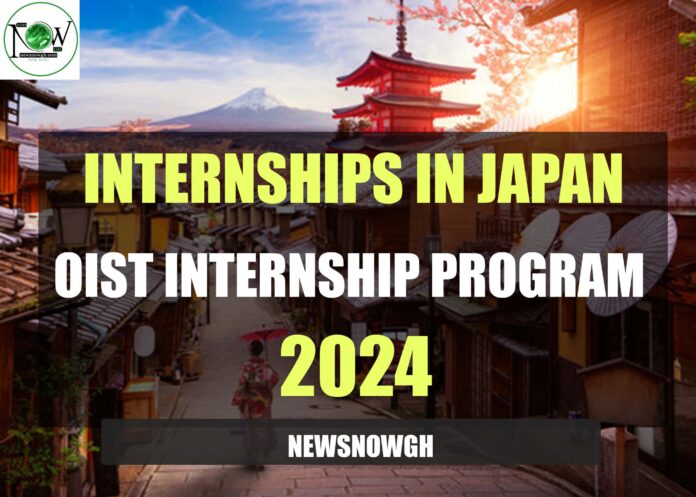 OIST Internship Program 2024