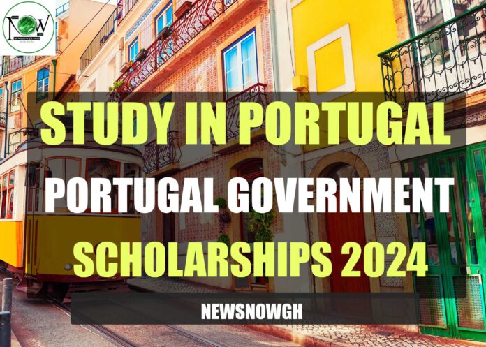 Portugal Government Scholarships