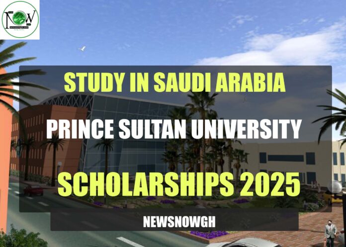 Prince Sultan University Scholarships