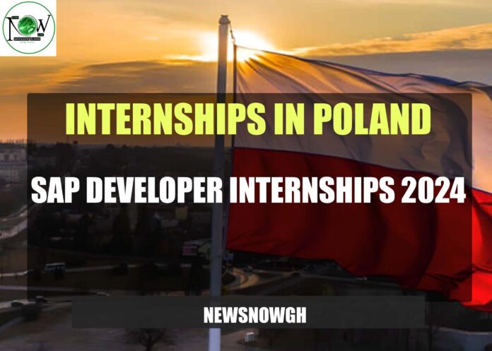 SAP Developer Internships