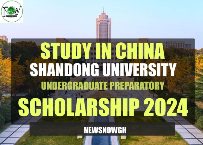 Shandong University Undergraduate Preparatory Scholarship