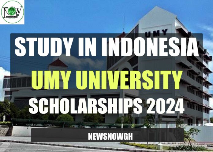 UMY University Scholarship