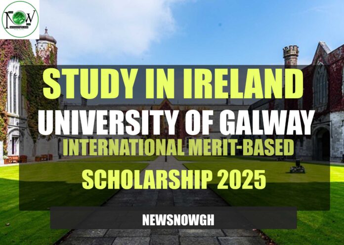 University of Galway International Merit-Based Scholarships