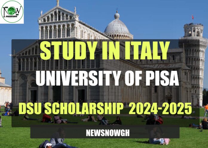 University of Pisa DSU Scholarship