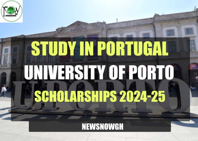 University of Porto Scholarships