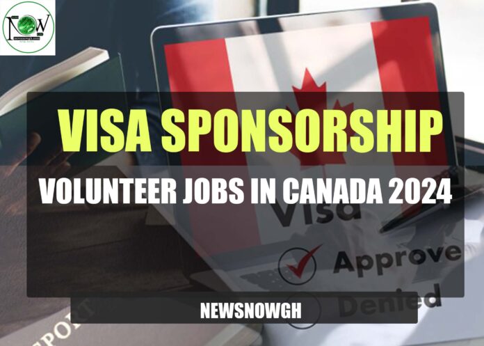 Volunteer Jobs in Canada, 2024
