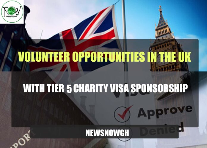 Volunteer Opportunities in the UK