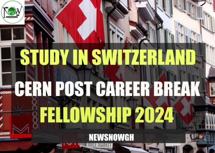 CERN Post Career Break Fellowship