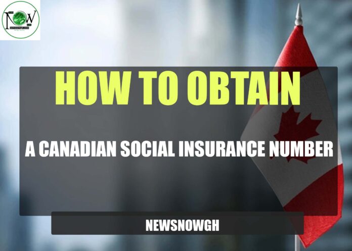 Canadian Social Insurance Number How To Obtain A Canadian Social Insurance Number