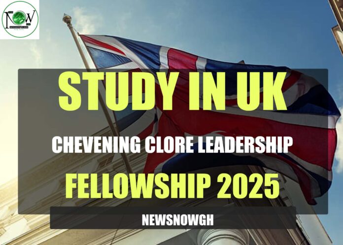 Chevening Clore Leadership Fellowship