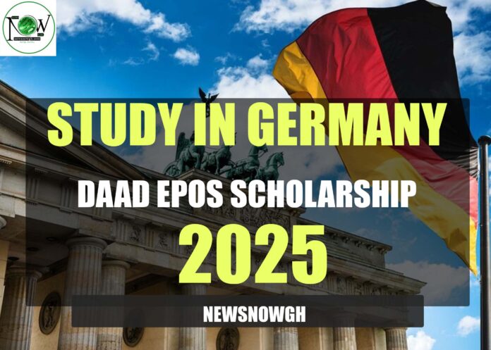 DAAD EPOS Scholarship