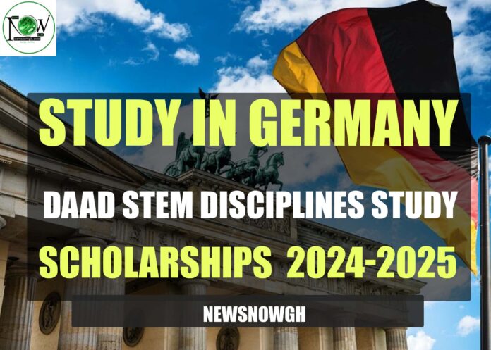 DAAD STEM Disciplines Study Scholarships