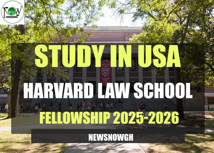 Harvard Law School Fellowship