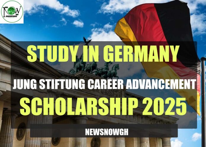 JUNG Stiftung Career Advancement Scholarship