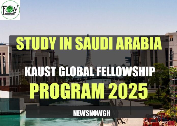 KAUST Global Fellowship Program