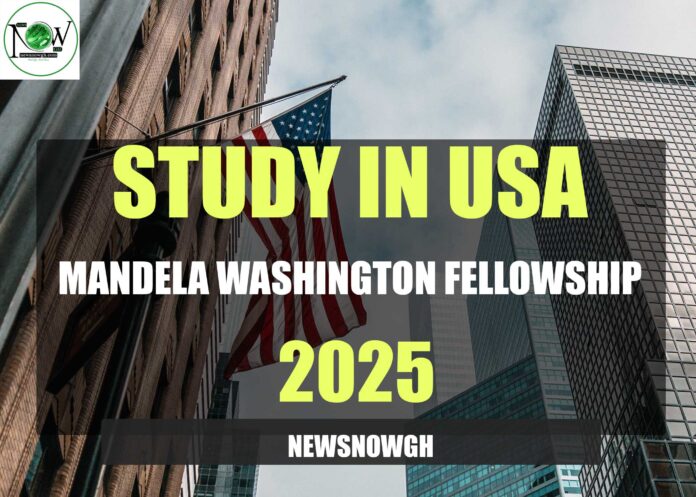 Mandela Washington Fellowship