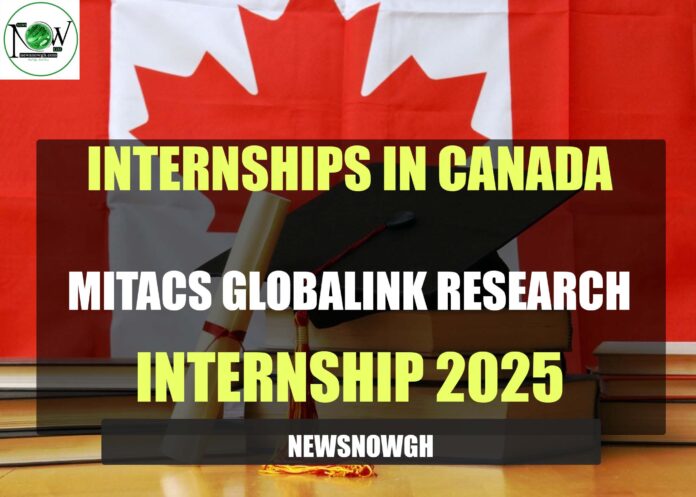 Mitacs Globalink Research Internship