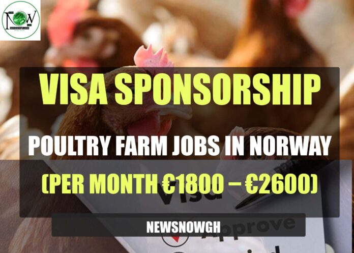 Poultry Farm Jobs in Norway