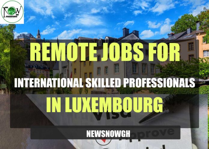 Remote Jobs For International Skilled Professionals in Luxembourg
