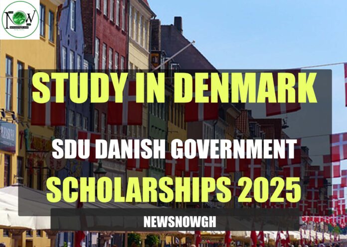 SDU Danish Government Scholarships
