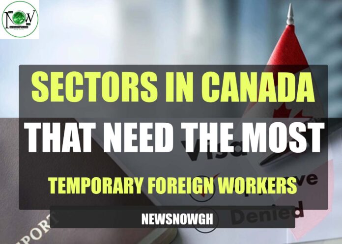 Sectors in Canada That Need the Most Temporary Foreign Workers