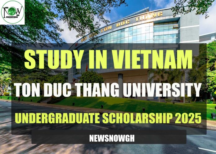 Ton Duc Thang University Undergraduate Scholarship