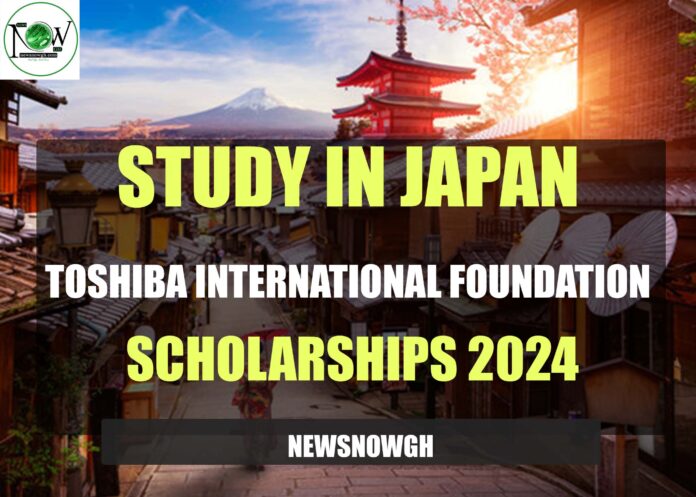 Toshiba International Foundation fellowship
