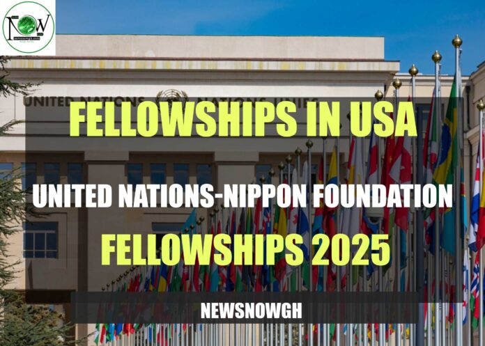 United Nations-Nippon Foundation Fellowships