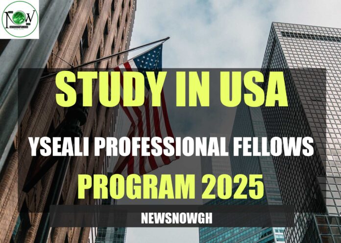 YSEALI Professional Fellows Program 2025