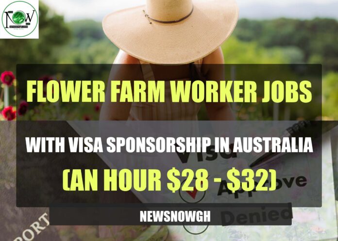 Flower Farm Worker Jobs with Visa Sponsorship in Australia