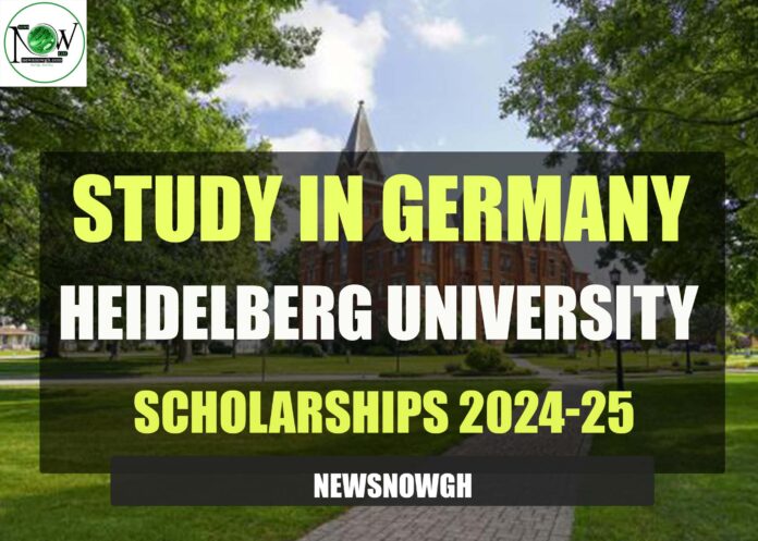 Heidelberg University Scholarships