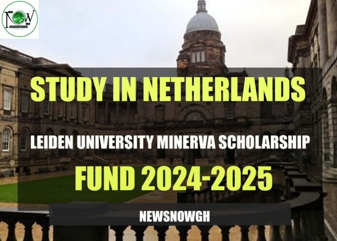Leiden University Minerva Scholarship