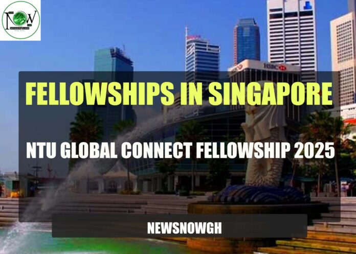 NTU Global Connect Fellowship