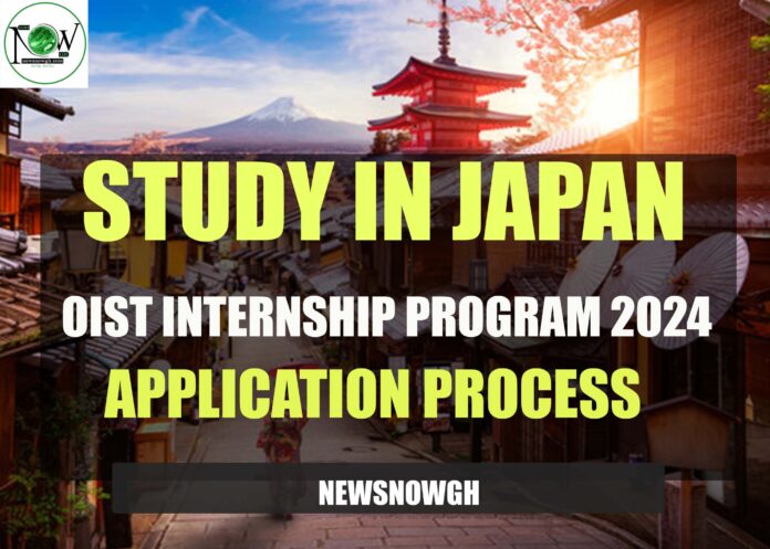 OIST Internship Program