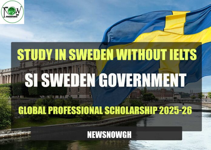SI Sweden Government Global Professional Scholarship
