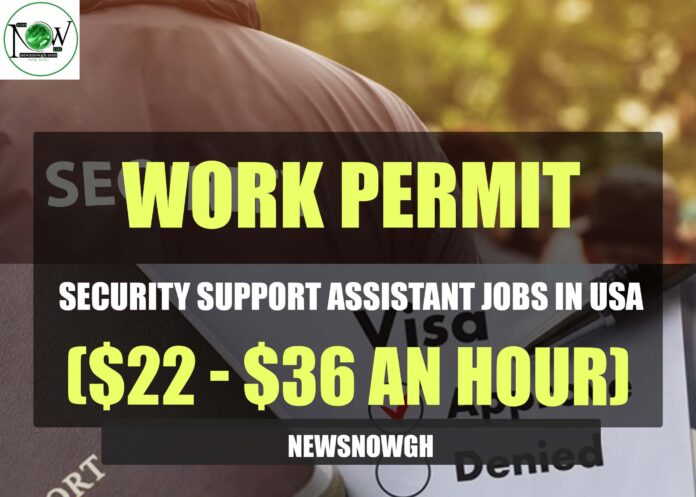 Security Support Assistant Jobs in USA