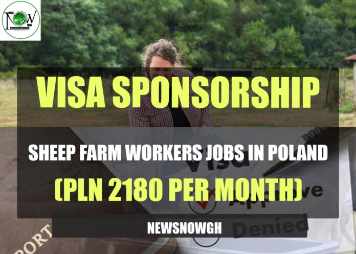 Sheep Farm Workers Jobs in Poland