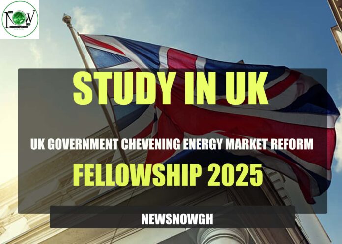 UK Government Chevening Energy Market Reform