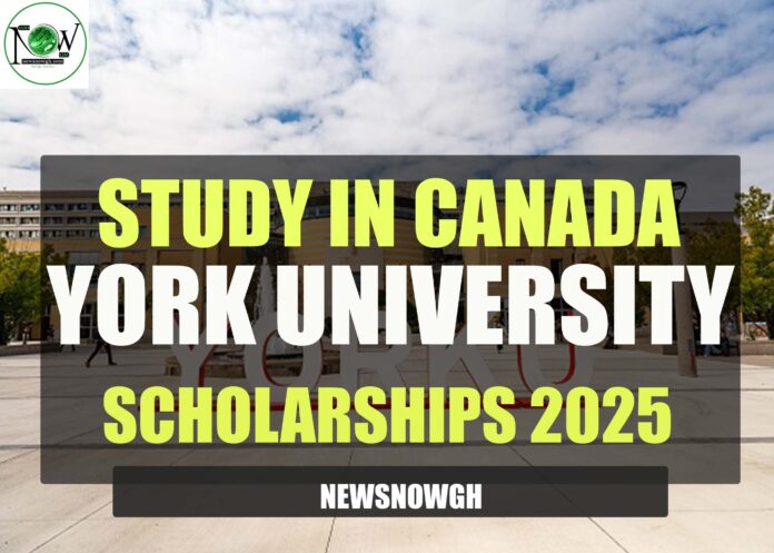 York University Scholarships