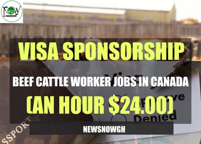 Beef Cattle Worker Jobs in Canada