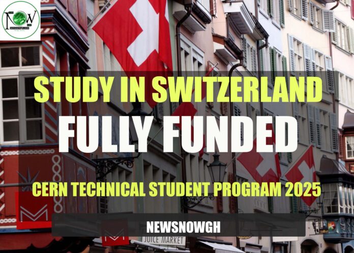 CERN Technical Student Program