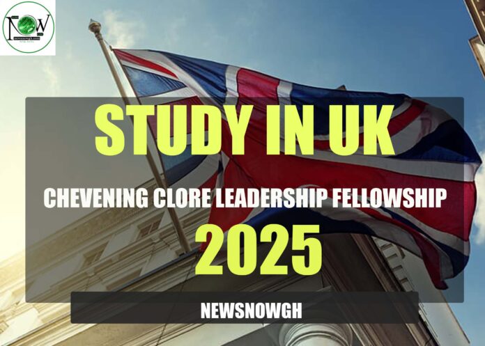 Chevening Clore Leadership Fellowship