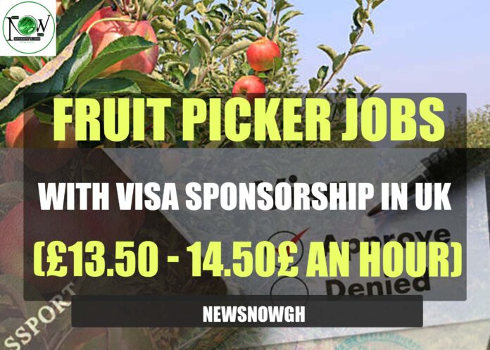 Fruit Picker Jobs with Visa Sponsorship in UK