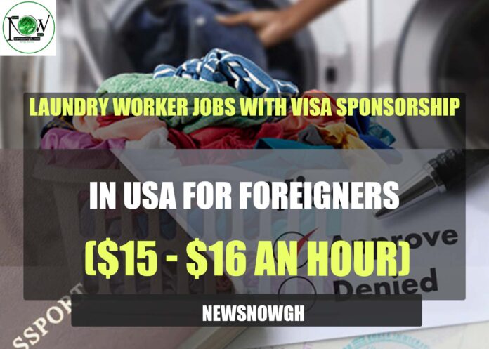 Laundry Worker Jobs