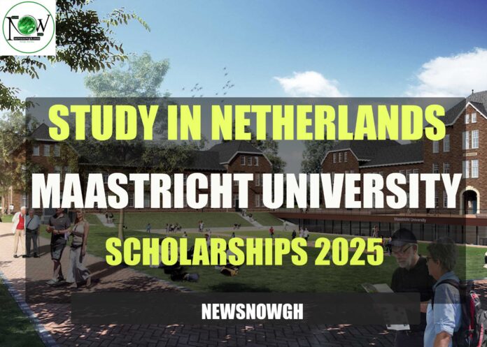 Maastricht University Scholarships