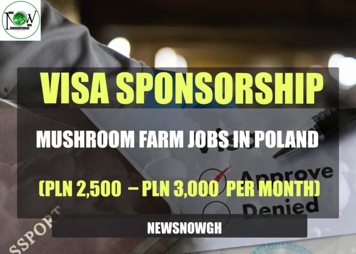 Mushroom Farm Jobs in Poland