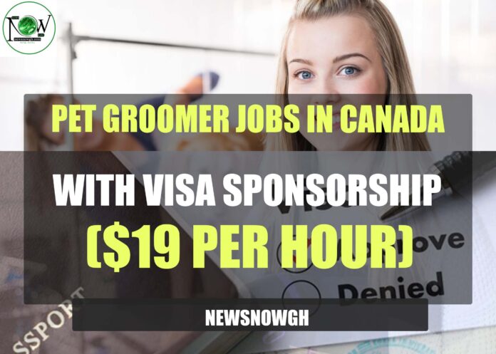 Pet Groomer Jobs In Canada