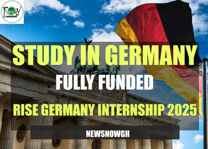 RISE Germany Internship