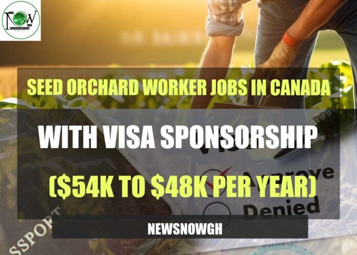 Seed Orchard Worker Jobs in Canada